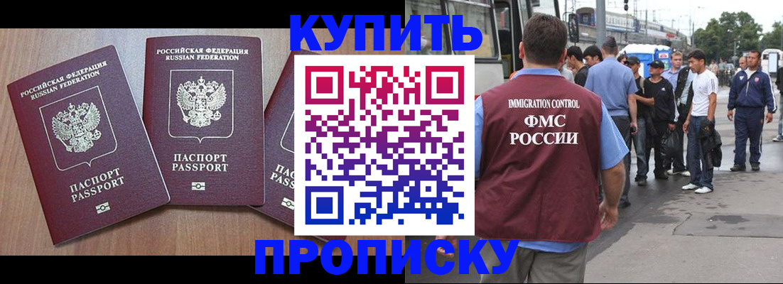 прописка 2025 в Тынде
